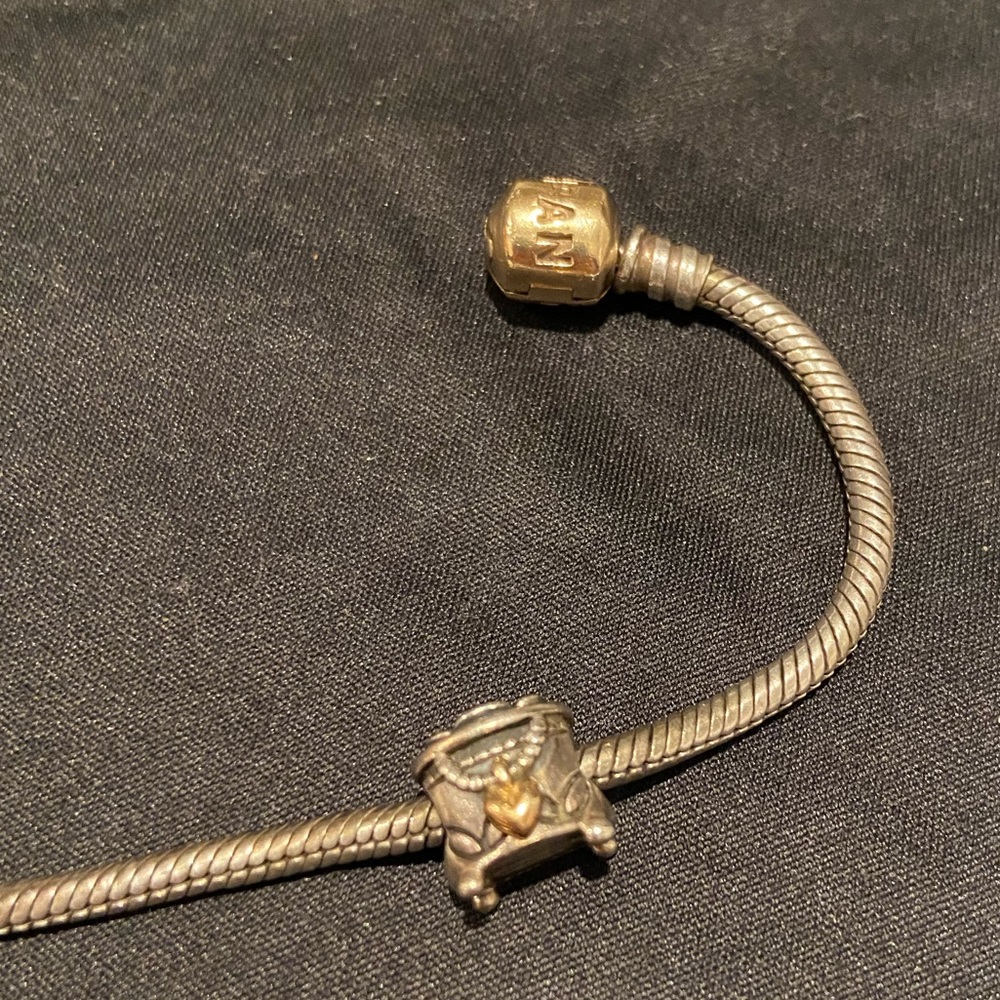 Pandora Charm